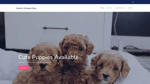 Screenshot of