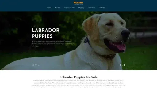 Screenshot of