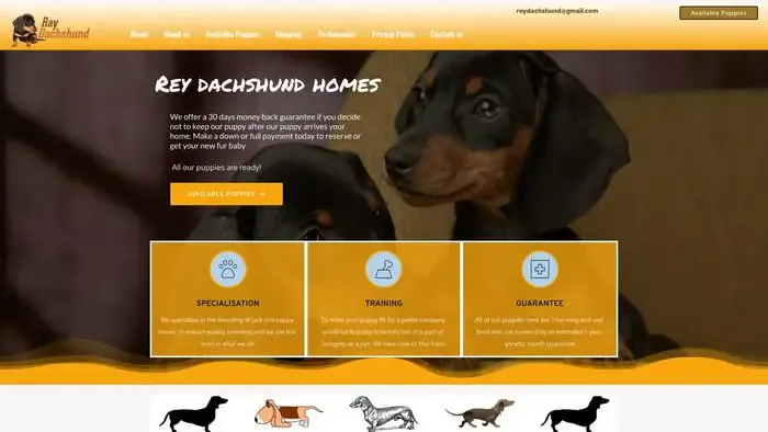 Screenshot of