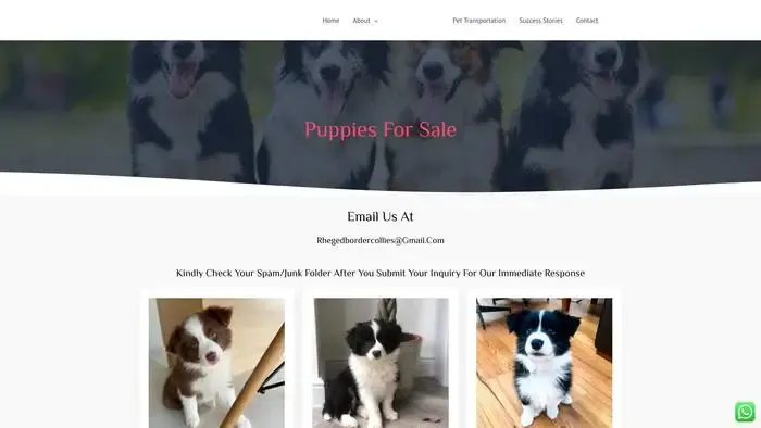 Screenshot of