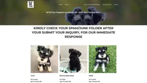 Screenshot of