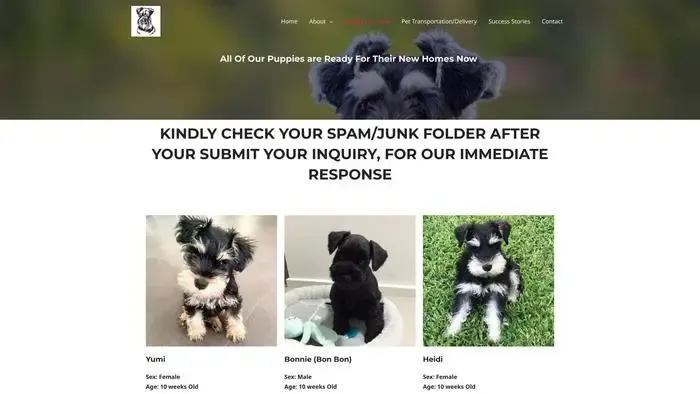 Screenshot of