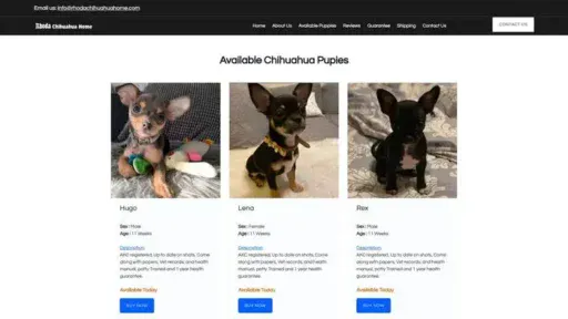 Screenshot of