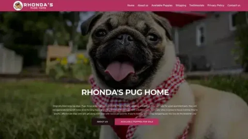 Screenshot of