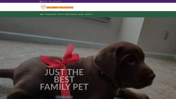 Screenshot of