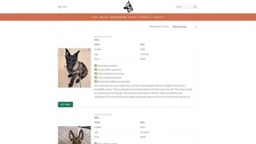 Screenshot of