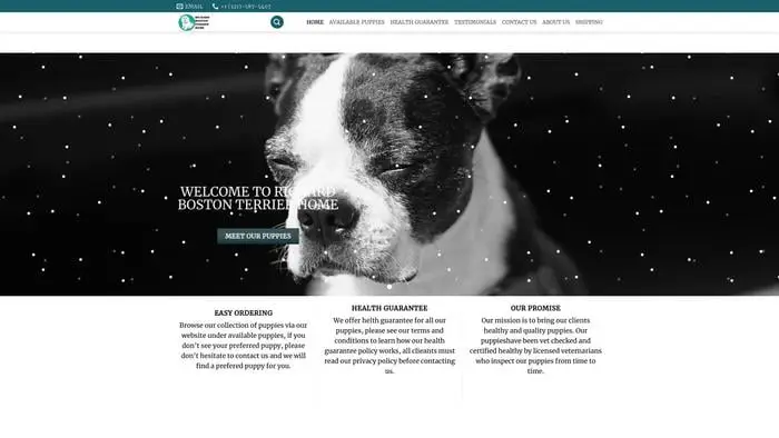 Screenshot of