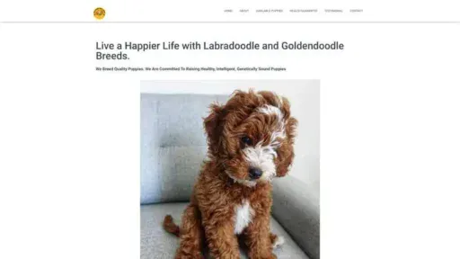 Screenshot of