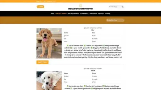Screenshot of