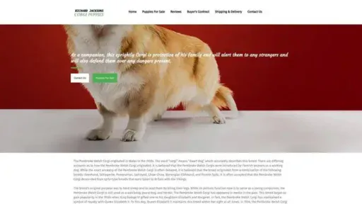 Screenshot of