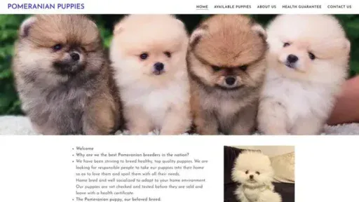 Screenshot of