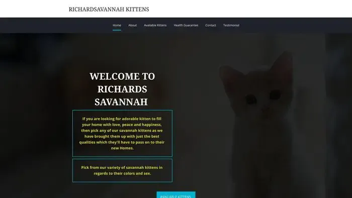 Screenshot of