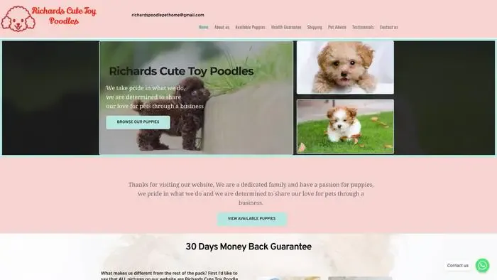 Screenshot of