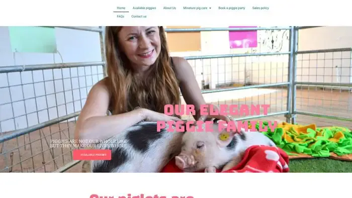 Screenshot of