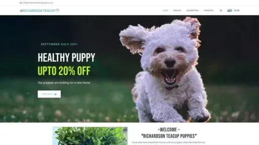Screenshot of