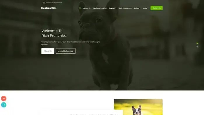 Screenshot of