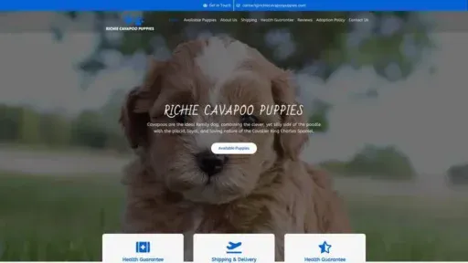 Screenshot of
