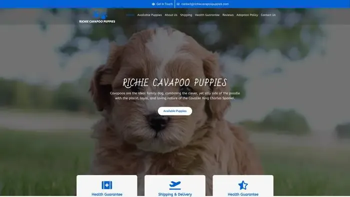 Screenshot of