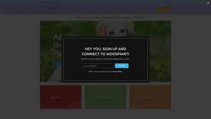 Screenshot of