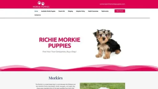 Screenshot of