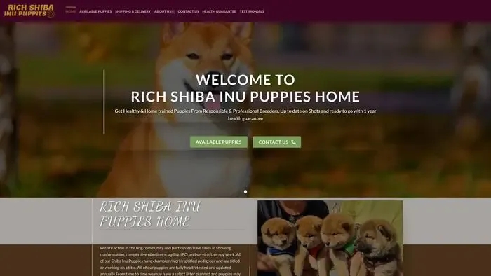 Screenshot of
