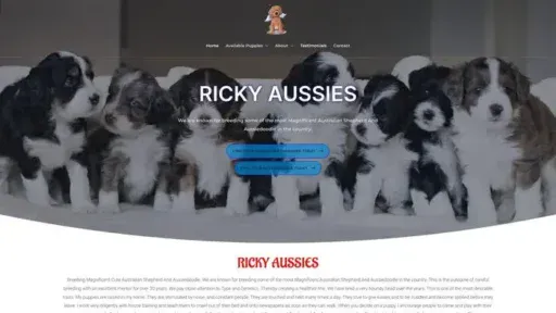 Screenshot of
