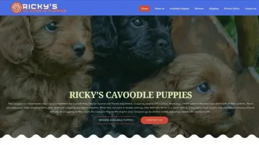 Screenshot of