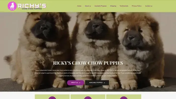 Screenshot of