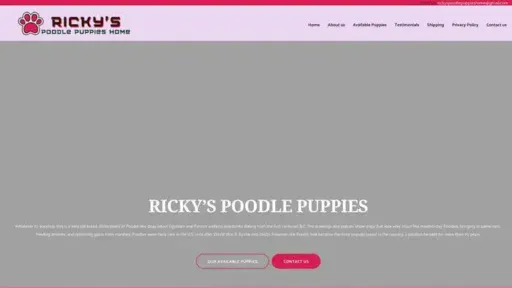 Screenshot of