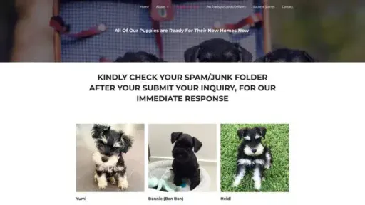 Screenshot of