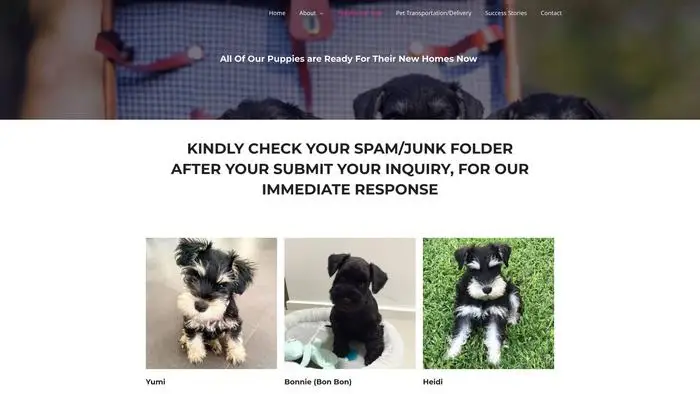 Screenshot of