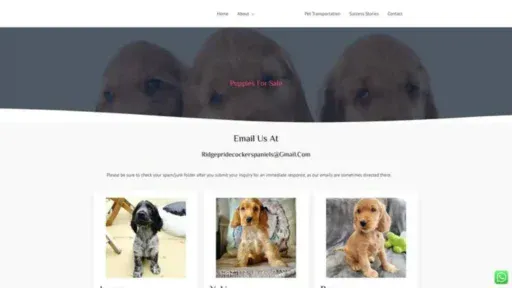 Screenshot of||