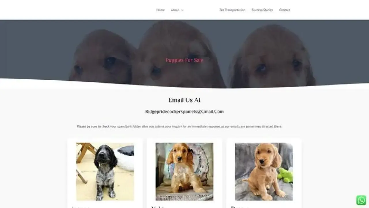 Screenshot of||
