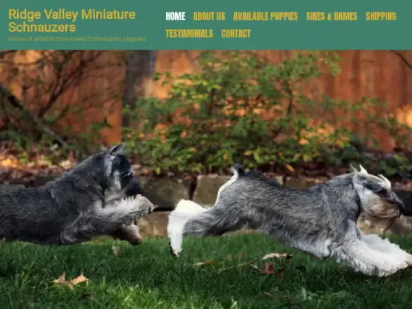 Screenshot of