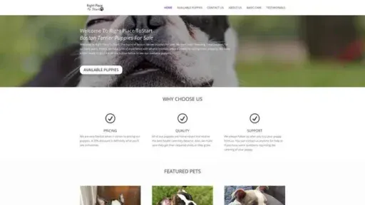Screenshot of