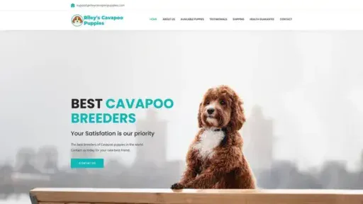 Screenshot of