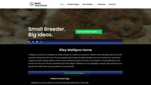 Screenshot of