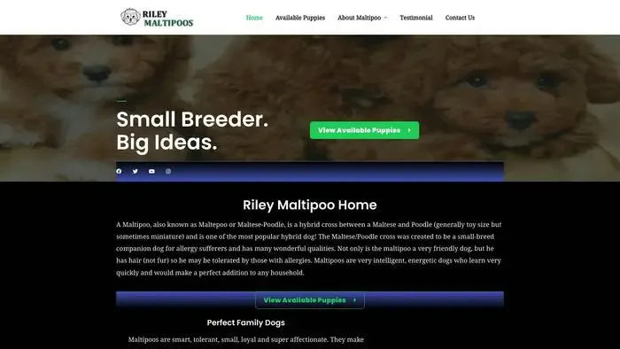 Screenshot of