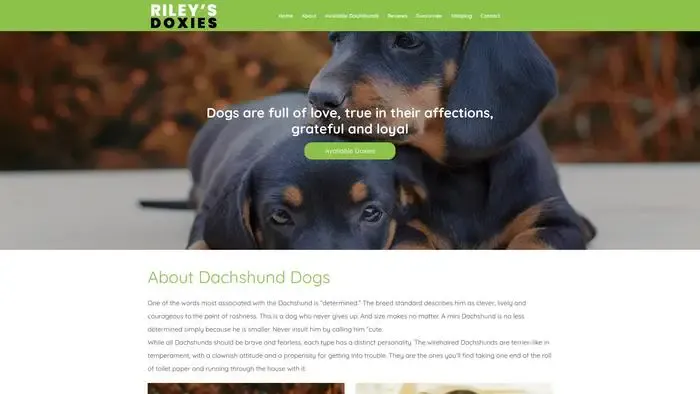 Screenshot of