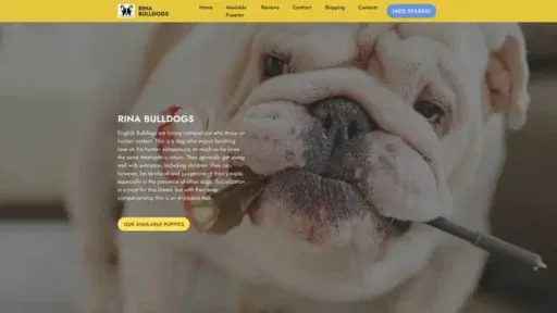 Screenshot of