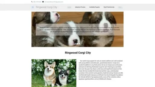 Screenshot of