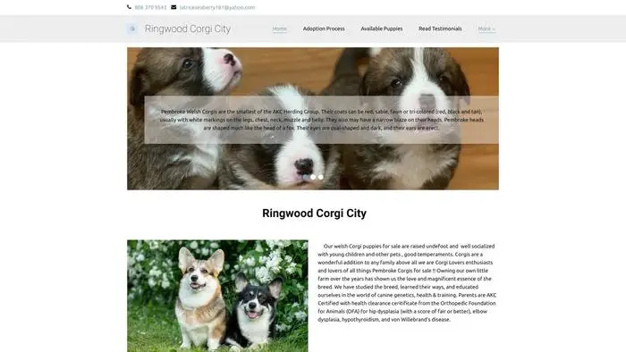 Screenshot of