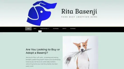 Screenshot of