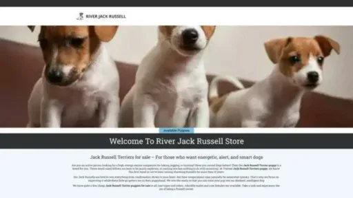 Screenshot of||