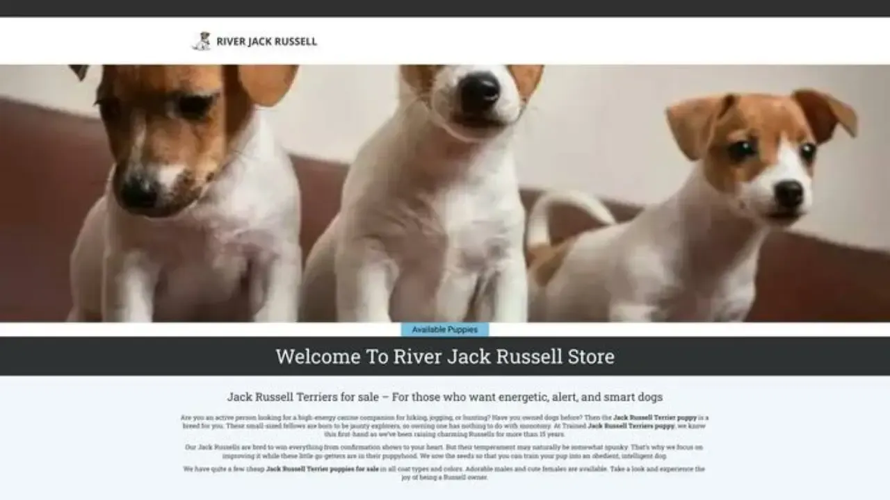 Riverjackrussell