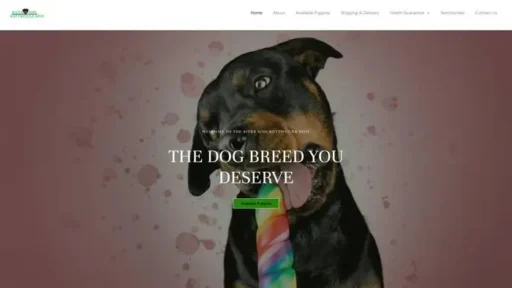 Screenshot of