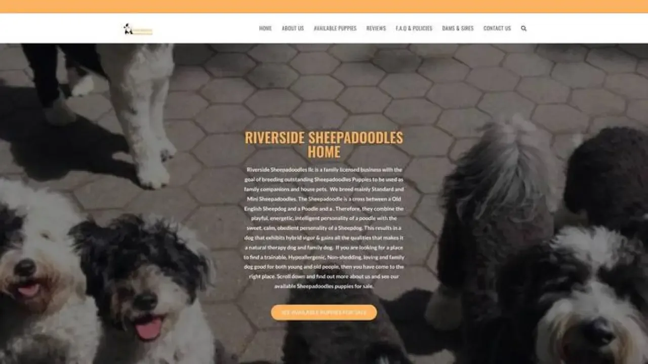 Riversidesheepapoos