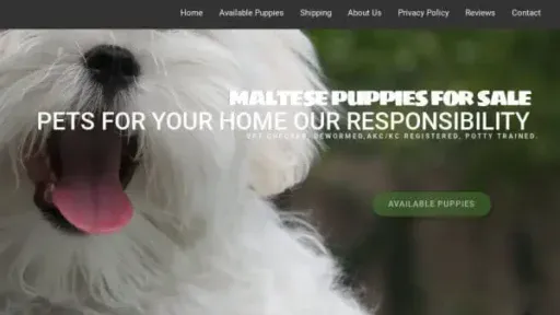 Screenshot of