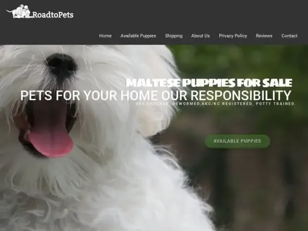 Screenshot of