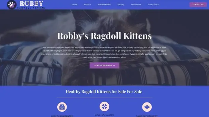 Screenshot of